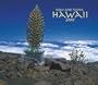 Hawaii, Wild & Scenic 2009 Deluxe Wall Calendar (Multilingual Edition)