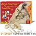 Geoworld Dig and Discover Authentic Fossil Fish