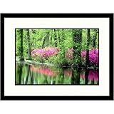 Great American Picture IS603767 Trees and Flowers Reflecting Framed Photograph