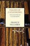 Figures of catastrophe : the condition of culture novel