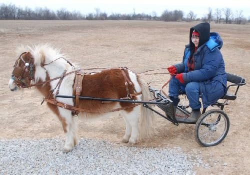 Easy Entry mini cart with heavy duty wheels