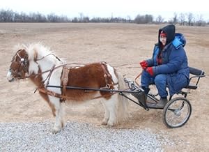 Easy Entry mini cart with heavy duty wheels