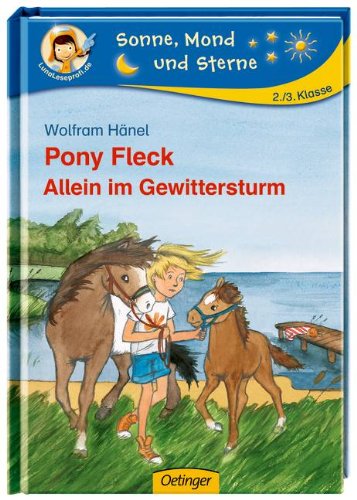 Oetinger Pony Fleck 06. Allein im Gewittersturm