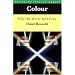 Colour: Why the World Isn't Grey