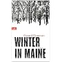 Winter in Maine: Roman von Gerard Donovan