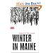 Winter in Maine: Roman