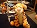 DISNEY TIGGER WITH ZIPPERED BACK