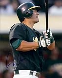 Eric Chavez Autographed/Hand Signed Oakland A's 8x10 Photo