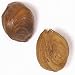 Filberts/Hazelnuts, Raw Oregon
