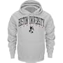 Boston Terriers Grey Champion Powerblend Hood Xx Large