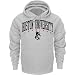 Boston Terriers Grey Champion Powerblend&Acirc;&reg; Hood