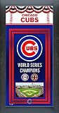 Chicago Cubs Framed Team Championship Series