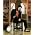 Thumbnail image of Richard Marx