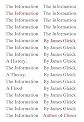 The Information: A History, a Theory, a Flood   [INFO] [Hardcover]