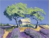 Bei Orange art print 50x70cm by Talantbek Chekirov