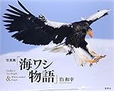 写真集「海ワシ物語」 写真集「海ワシ物語」