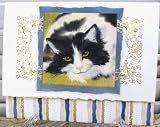 Carol Wilson Lil Thing, Cat Note Card Set 10 Ct.