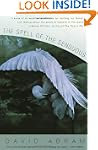 The Spell of the Sensuous: Perception...