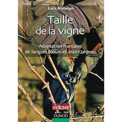 Taille de la vigne