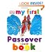 My First Passover Board Book (My 1st Board Books)
