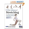 The Anatomy of Stretching: Your Illustrated Guide to Flexibility and Injury Rehabilitation