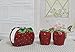 ACK 3-D Strawbery Ceramic Hand Painted Refillable Salt & Pepper Shaker with Napkin Holder Set, Kitchen Décor