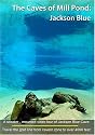 The Caves of Mill Pond: Jackson Blue