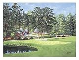11Th At Augusta � White Dogwood By Bernard Willington Highest Quality Art Print Poster - Size: 26 X 20