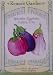 Eggplants Italian Trio Seeds 40 Seeds