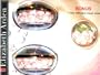 ELIZABETH ARDEN CERAMIDE ** 127 CAPSULES ** Advanced Time Complex FULL KIT + Travel.