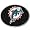 Miami Dolphins