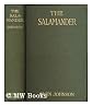 The Salamander