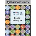 American Experience: Public Enemy #1