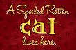 A Spoiled Rotten Cat Lives Here Floor Mat Area Rug
