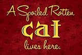 A Spoiled Rotten Cat Lives Here Floor Mat Area Rug