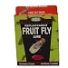 SpringStar - Fruit Fly Lures