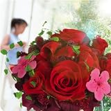 �v���U�[�u�h�t�����[�u�}�_���E���[�W���v