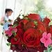 �v���U�[�u�h�t�����[�u�}�_���E���[�W���v