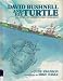 David Bushnell and His Turtle: The Story of America's First Submarine