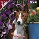 Basenji 2009 Wall Calendar