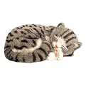 Perfect Petzzz Gray Tabby
