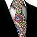 Shlax & Wing Neckties Ties Paisley Multi-color Silk Printed Wedding