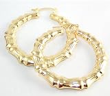 Gold Filled Earrings
