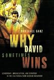 Why David Sometimes Wins: Leadership, Organization, and Strategy in the California Farm Worker Movement