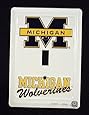 Michigan Wolverines Light Switch Covers (single) Plates LS10127