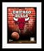 Chicago Bulls NBA Team Logo and Basketball Framed 8 x 10 Photograph