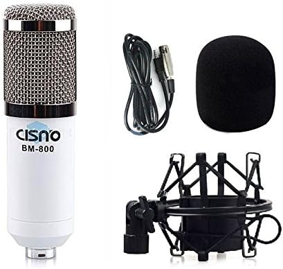 Professional Broadcast Studio Sound Recording Condenser Microphone W/shock Mount