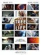 The Tree Of Life