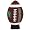 Michigan State Spartans