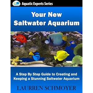 Your New Saltwater Aquarium: A Step By Step Guide to Creating and Keeping a Stunning Saltwater Aquarium